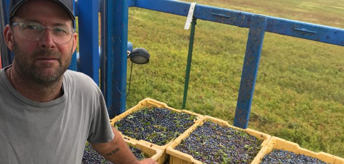 For Maine blueberry farmer Seth Kroeck, the pandemic made clear that lending to small and medium-sized farms needs to become easier and more flexible - and CDFis can help.